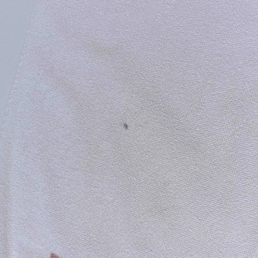 VTG 90s Polo Sport Ralph Lauren Football Bear Beach Towel Faded Sunwashed 62x33